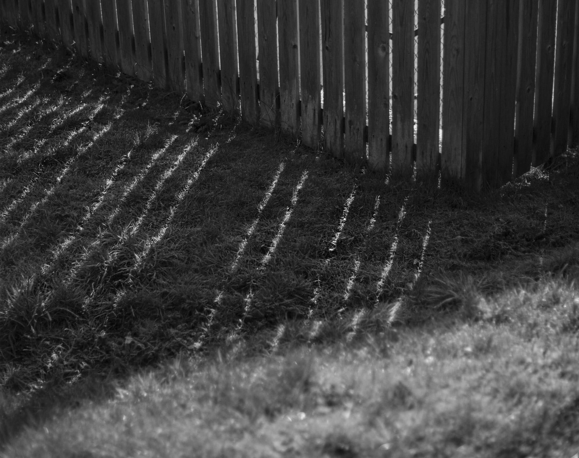 A fence line marked along a property boundary