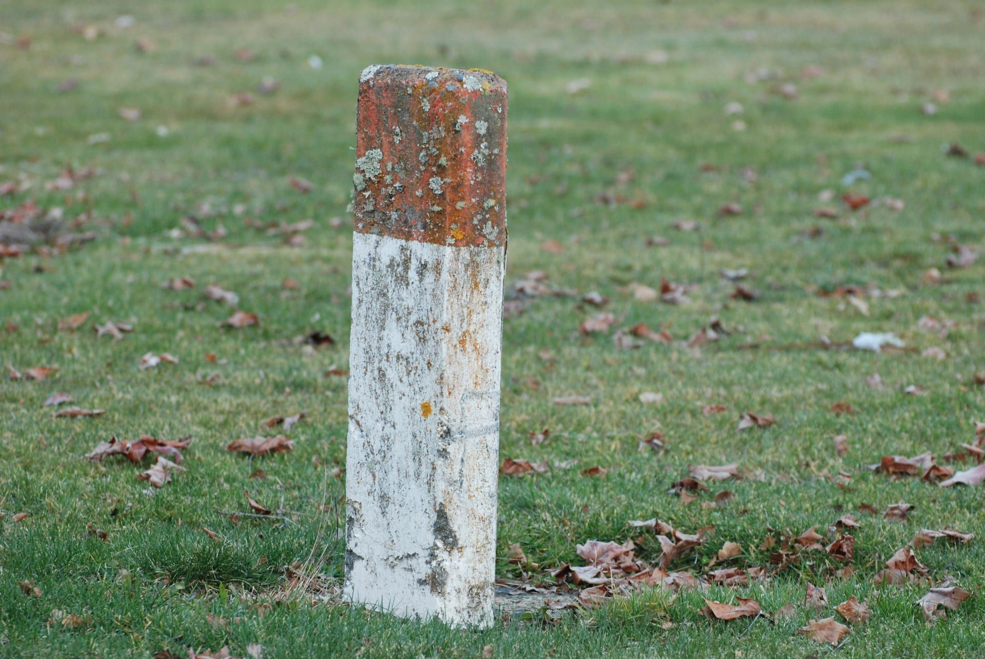 A surveyor's pin marking a property corner