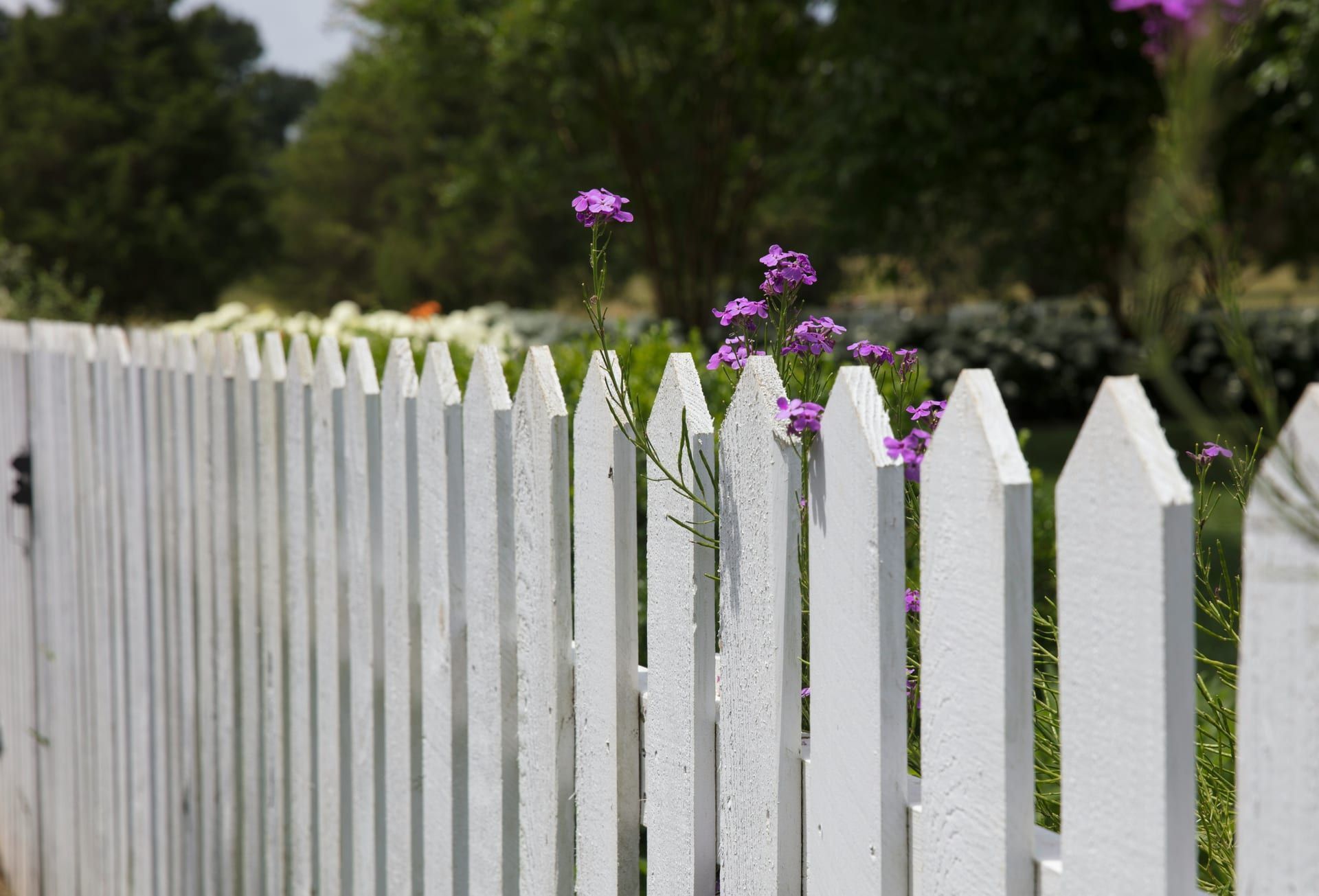 A white vinyl fence installation in a yard